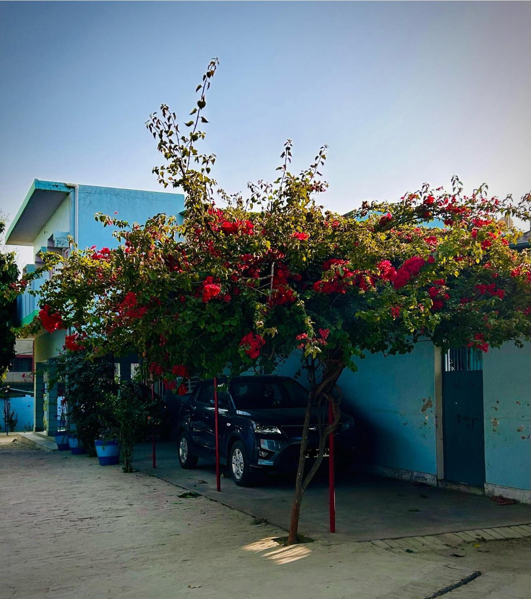 Villa Gooseberry Garden Ayodhya Exterior foto