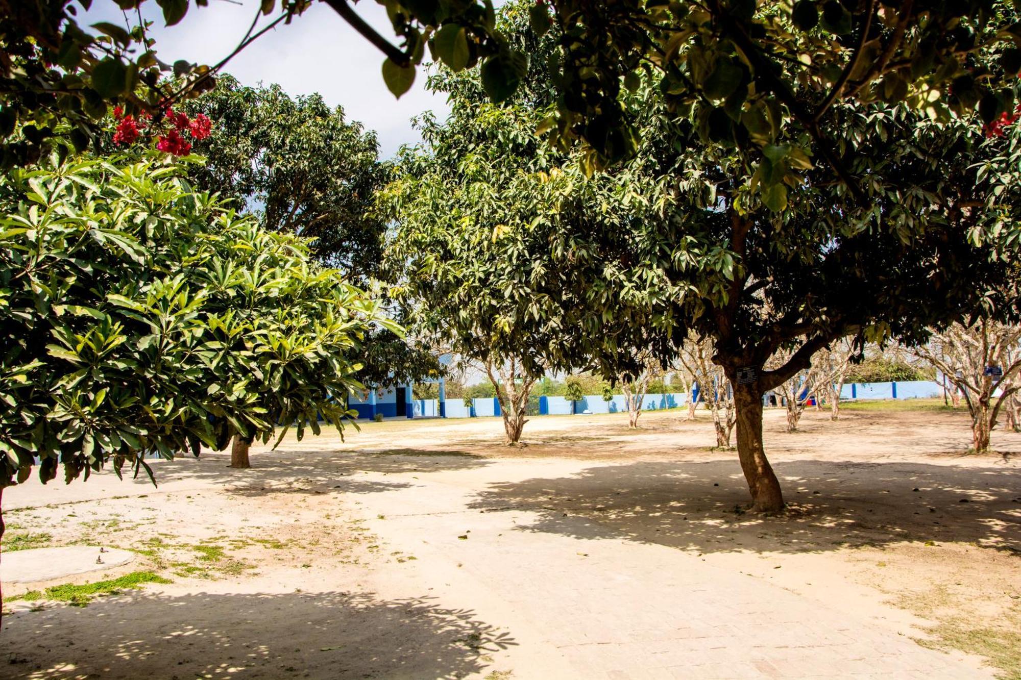 Villa Gooseberry Garden Ayodhya Exterior foto